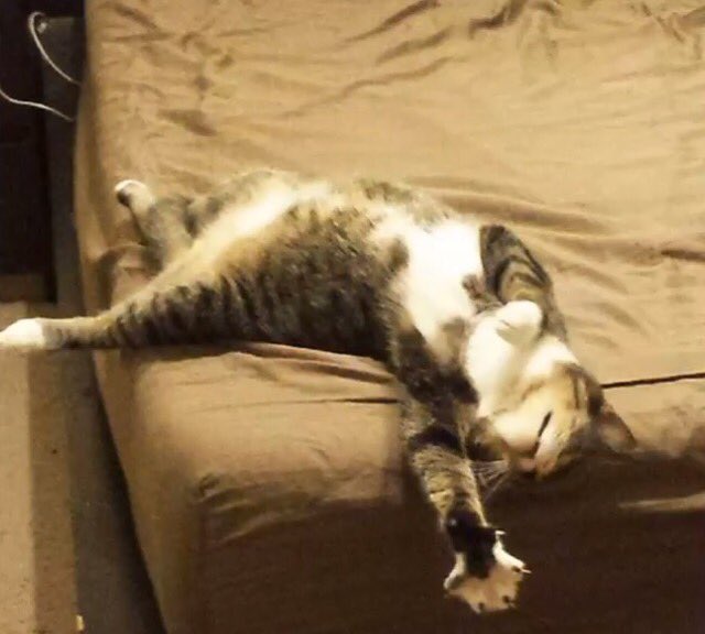 nikkitaylor41's tweet photo. @ztd96_dena Thanks, Dena. Hope you have a great Monday. I'm struggling to get moving this morning! https://t.co/4uEediGuWb