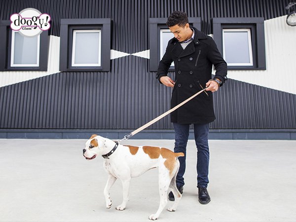 Doogyforever's tweet photo. Have a great week with Doogy ! Rendez-vous sur doogy.fr #week #dogs #doglove #DogLover #doglovers #happymonday https://t.co/L9EUIsR10F