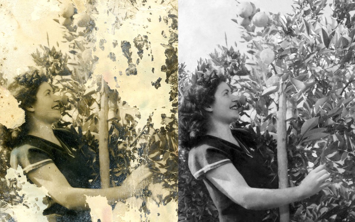 Lucetipo tweet media