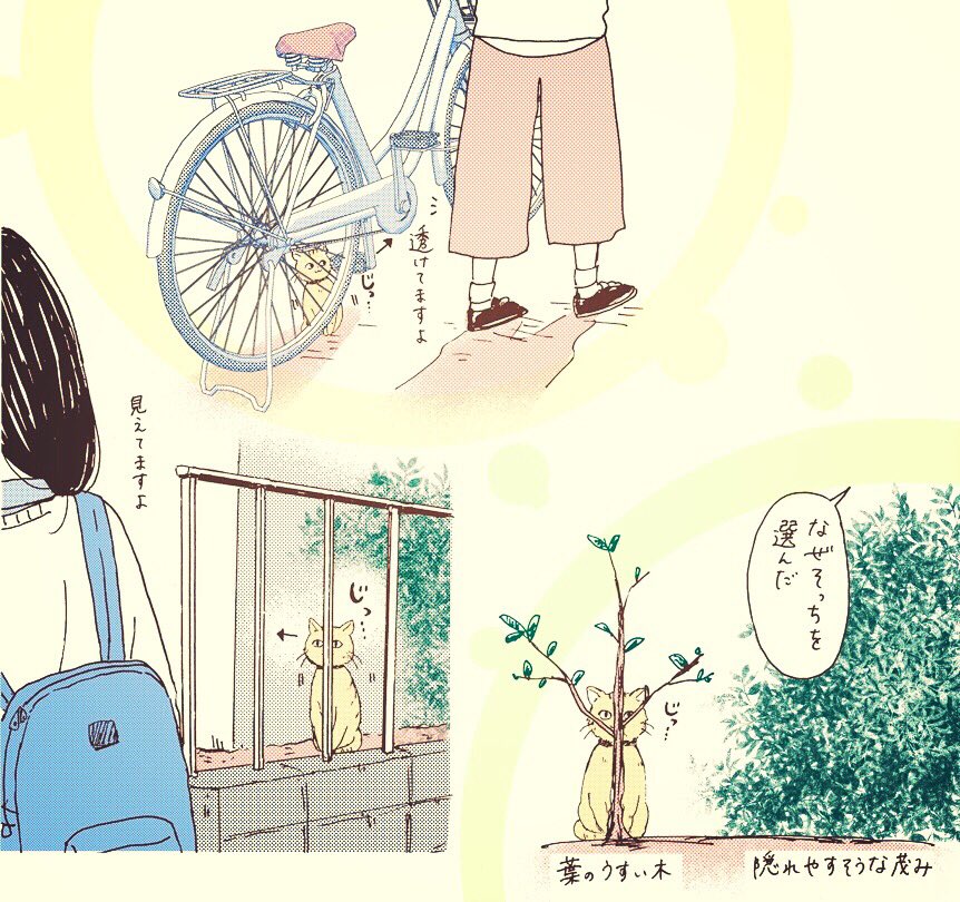 最近うちの庭が近所の猫ちゃんのお散歩コースになったみたいなんだけど、知らない人(私)の気配を察知すると「それで隠れてるつもりか」っていう所から様子を窺ってくるので和む 
