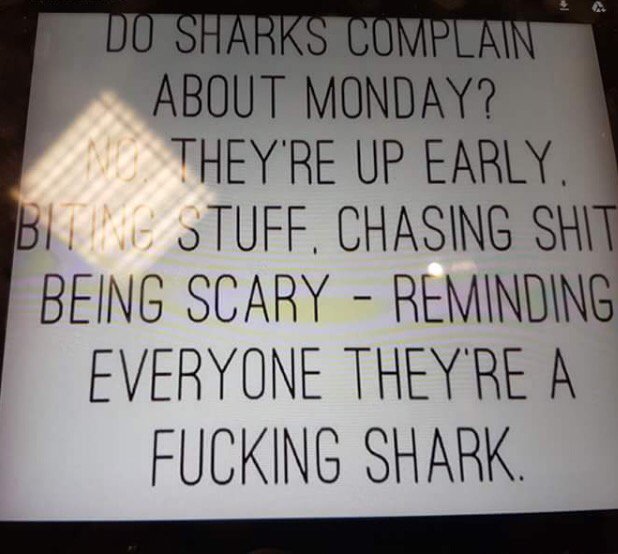 CarolaNutrition's tweet image. #MondayMoaning? #MondayMorningMotivation! Be a shark! #changeway