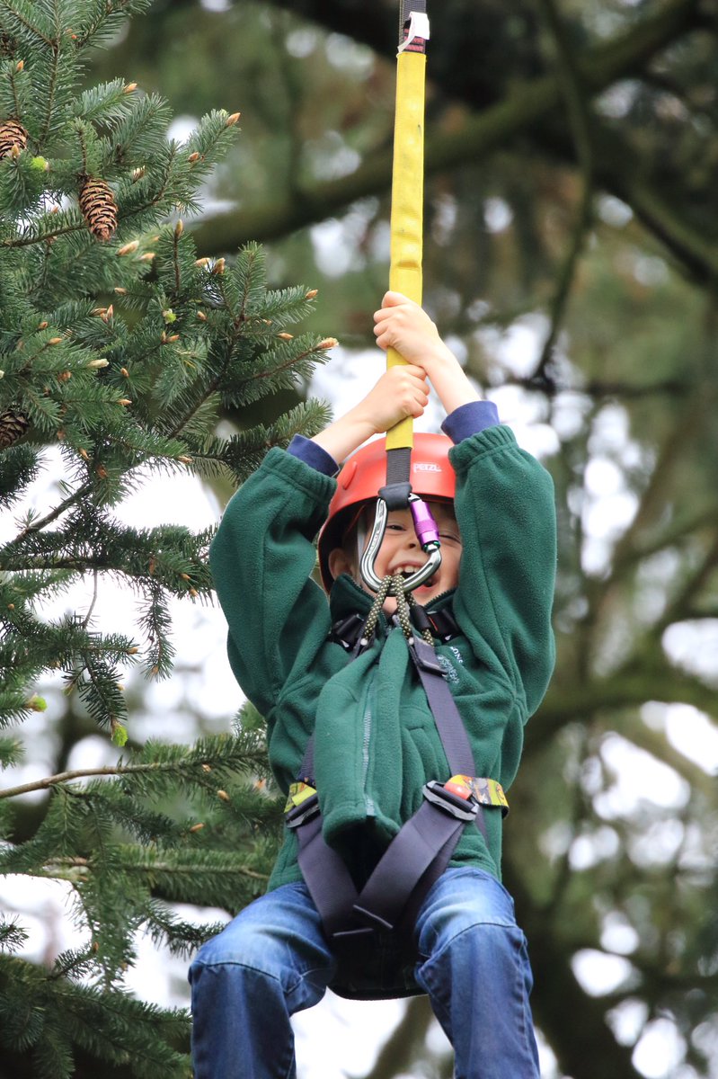DartmoorTrees's tweet photo. Fantastic #arbshow2017 and much loved by our youngest future arborist. Great family day out - thank you @ArbAssociation! https://t.co/TLW1XwOnhG