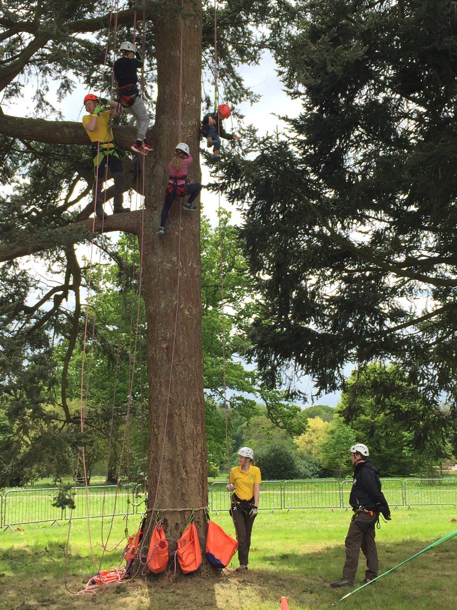 DartmoorTrees's tweet photo. Fantastic #arbshow2017 and much loved by our youngest future arborist. Great family day out - thank you @ArbAssociation! https://t.co/TLW1XwOnhG