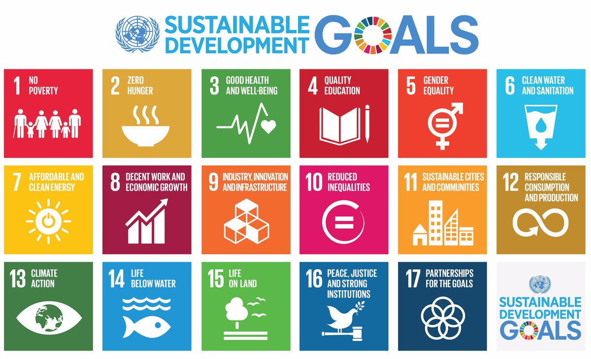 Sustainable Development Goals Priority Areas for YCN:
 Goals 1,2,3,4,6,8,12,16. join the global network ycnglobal.org