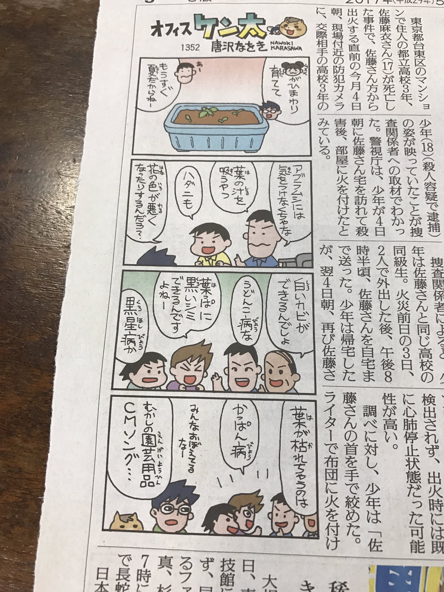 Kamekura リベラルきのこ派 これは 葉の汁を吸うアブラムシ これは 花の色が悪くなるハダニ 白いカビのうどんこ病 黒いシミの黒星病 かっぱん病は 葉を枯らすのです チャララララ カダンカダンカダンお花を大切に T Co Eutqtcyeok