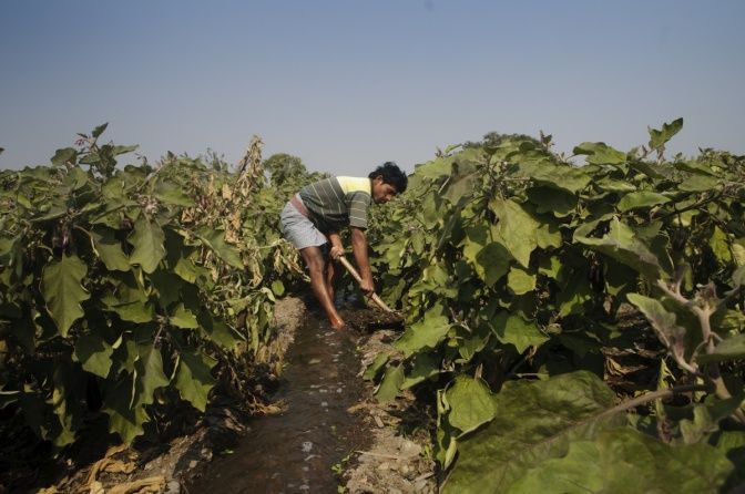 doinggoodpod's tweet photo. How can Agricultural Systems safeguard the environment? Join @CGIAR for #AgSystemsChat LIVE 17 May, at 3pm CET https://t.co/CVErqS1UM2 https://t.co/THH58oWGcU