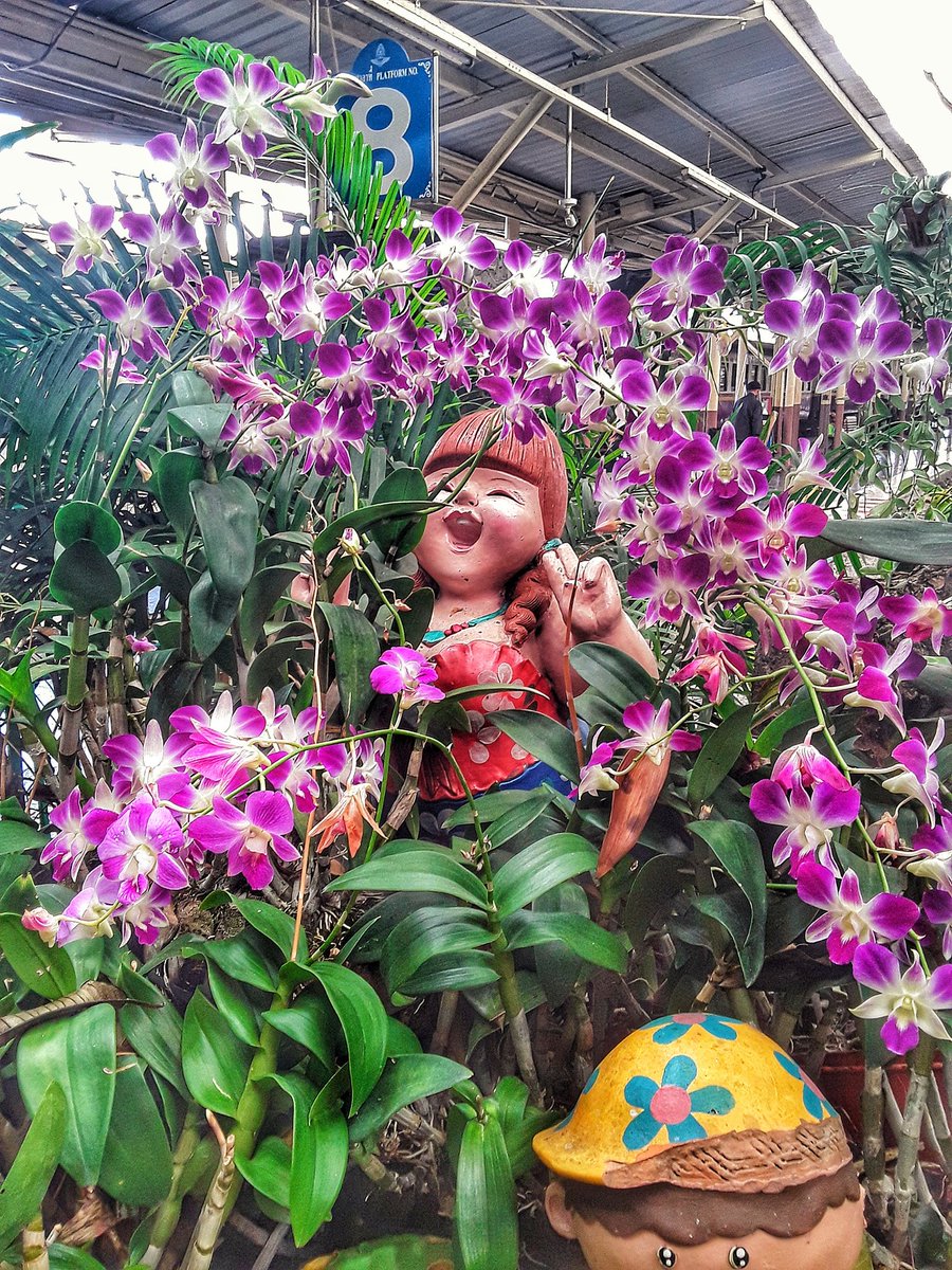 colourfulele's tweet photo. What a wonderful day in Bangkok https://t.co/8KjNvOQBwx