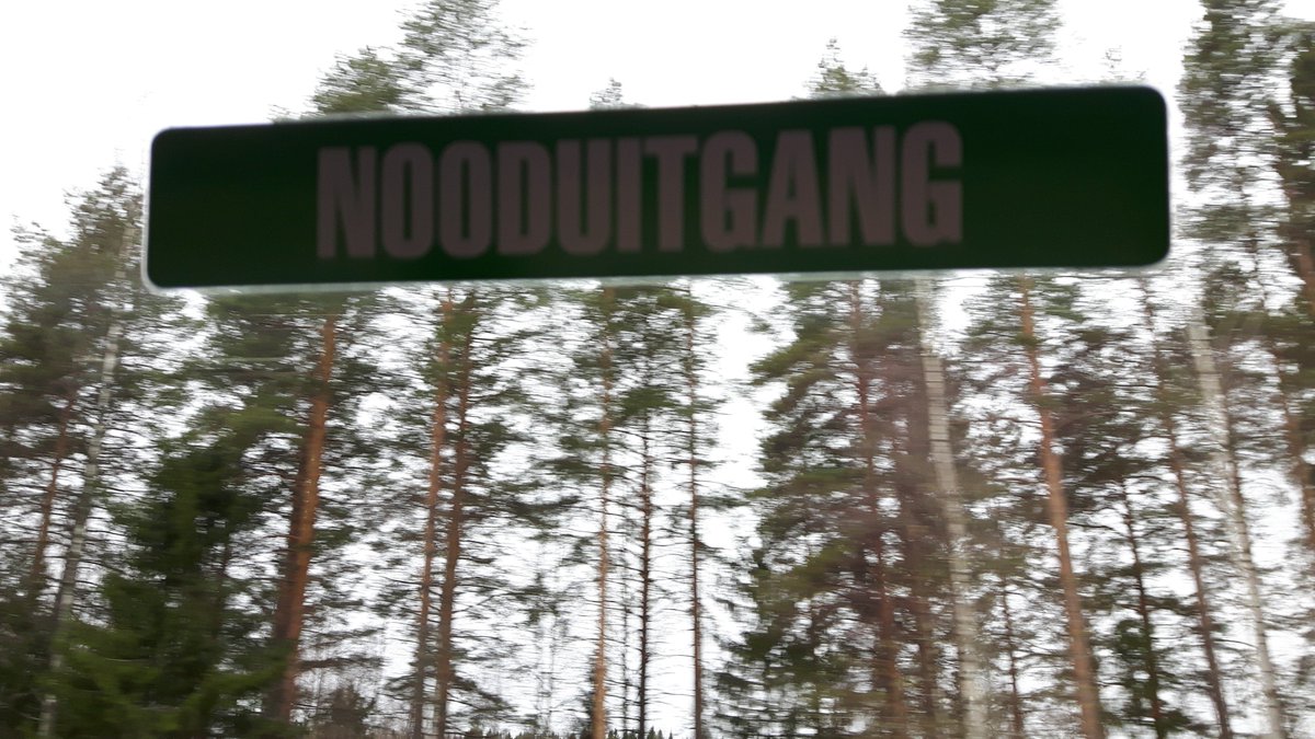 Our window looks like it's about to drop the lamest hip hop album of 2017. #kajaanibus