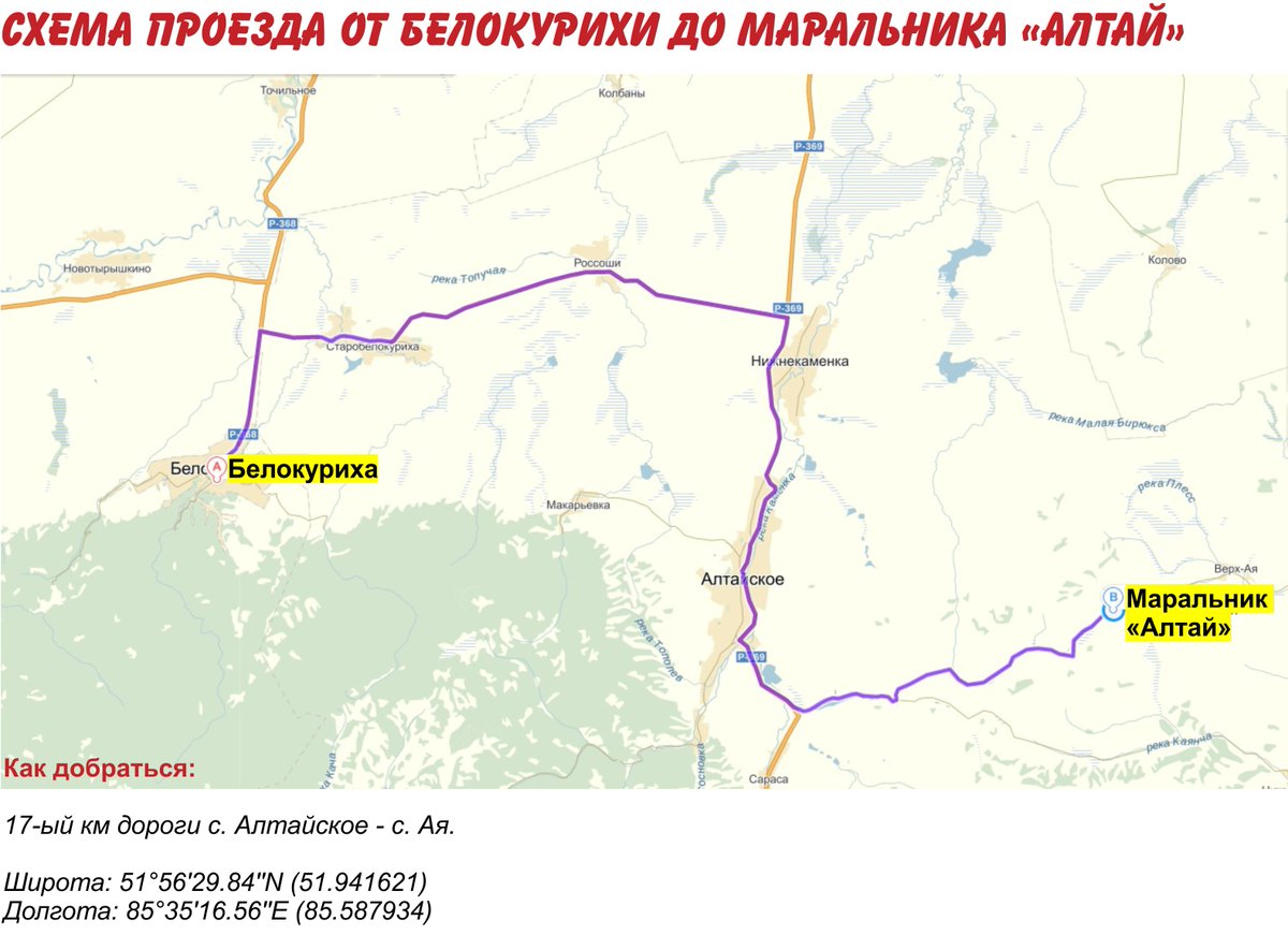 Алтай как добраться из москвы. Маральник Белокуриха. Белокуриха как добраться. Алтай как добраться.
