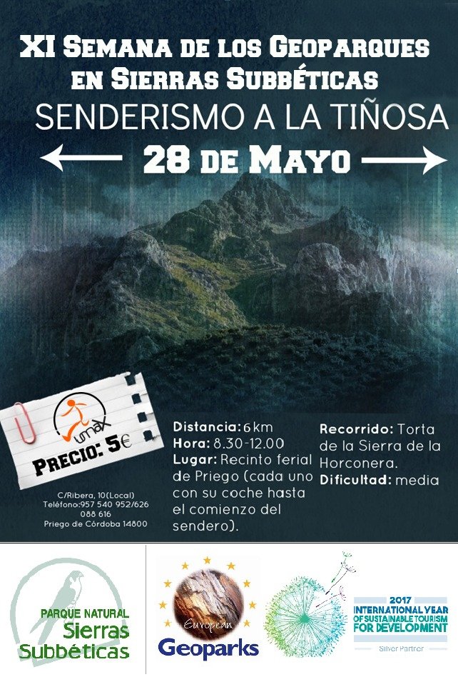 Umax Activa tweet media
