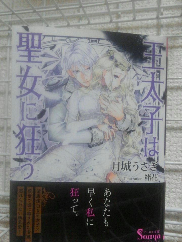 ソーニャ文庫100冊