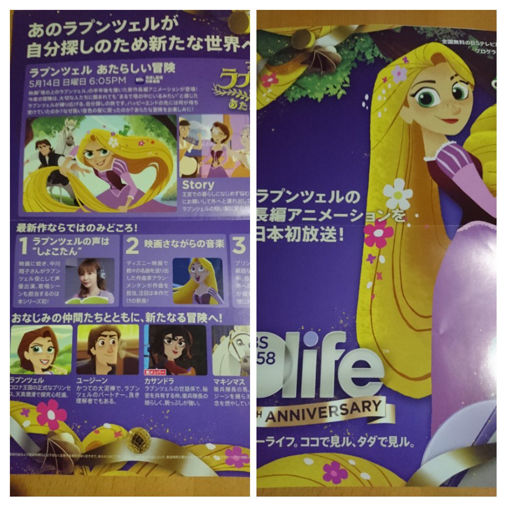 ラプンツェルあたらしい冒険 ラプンツェルあたらしい冒険