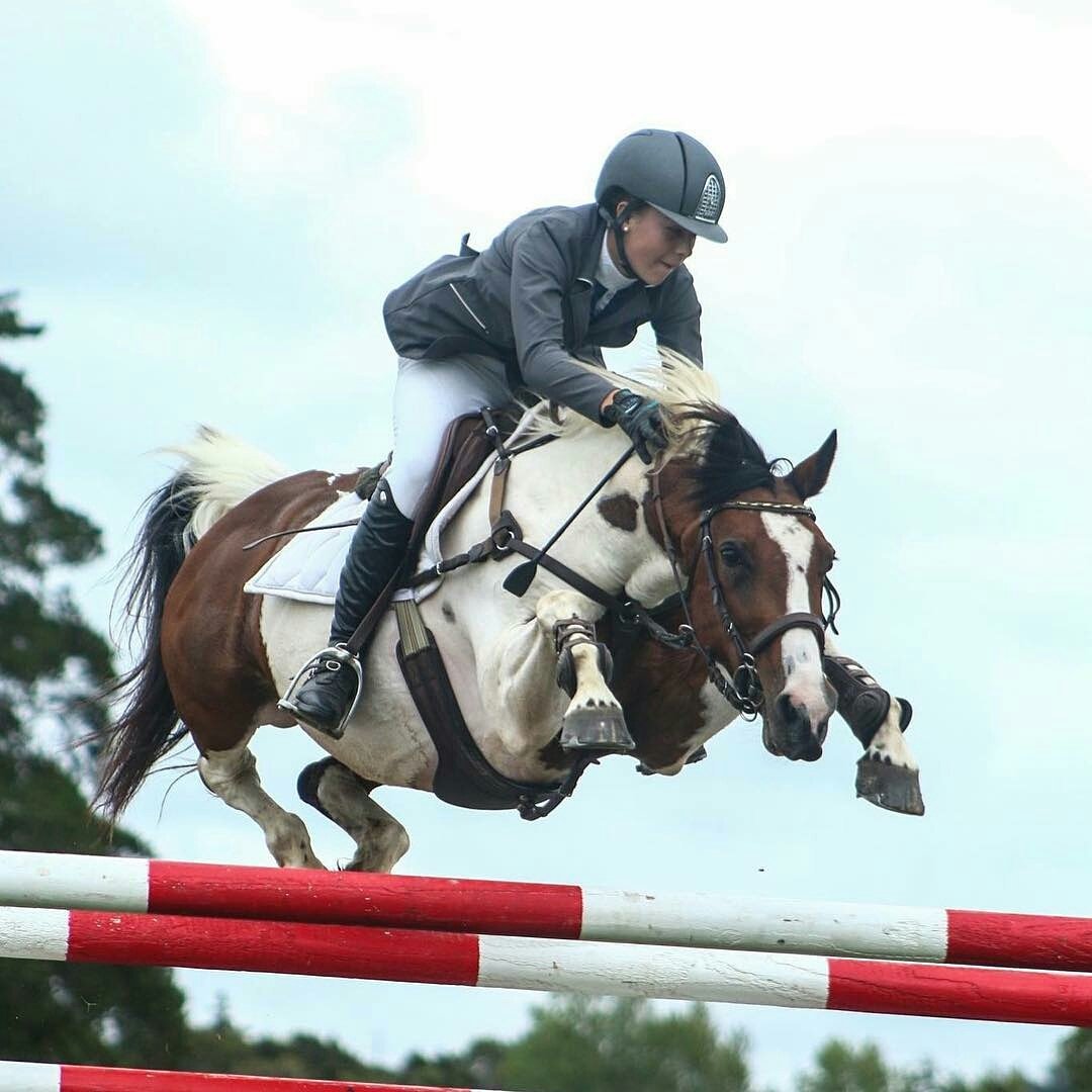 ProChapsEqui's tweet photo. Getting over Monday like...
@Regrann from @tylahackett.showjumping - Freakish pony π¬β€ #prochaps
PC; @jordan_mckenzi3 https://t.co/gz0V4baFYD