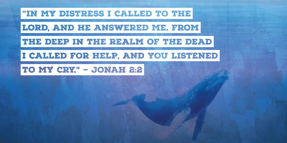 Weekly Verse: “In my distress I called to the Lord, &amp; he answered me. From the deep in the realm of the dead I called for help..." Jonah 2:2
