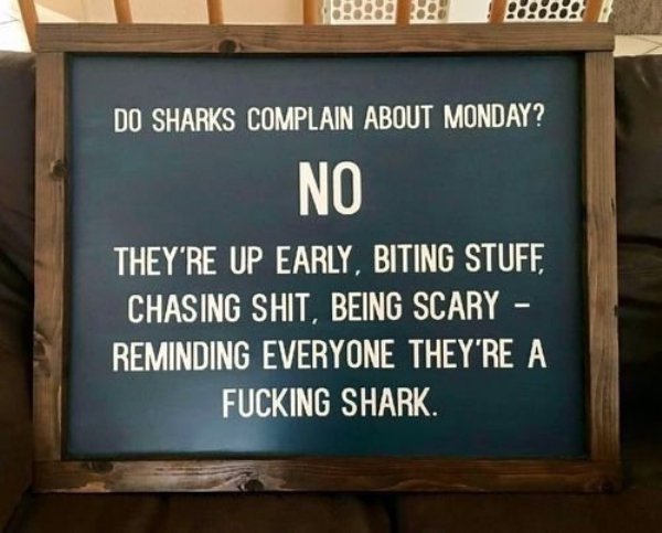 SOLID ADVICE FOR MONDAY MORNING