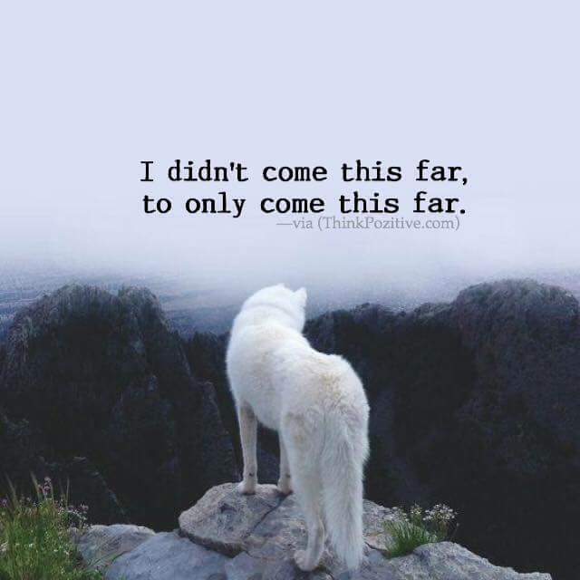 แ ม่ ห ญิ ง มุ ก tweet media