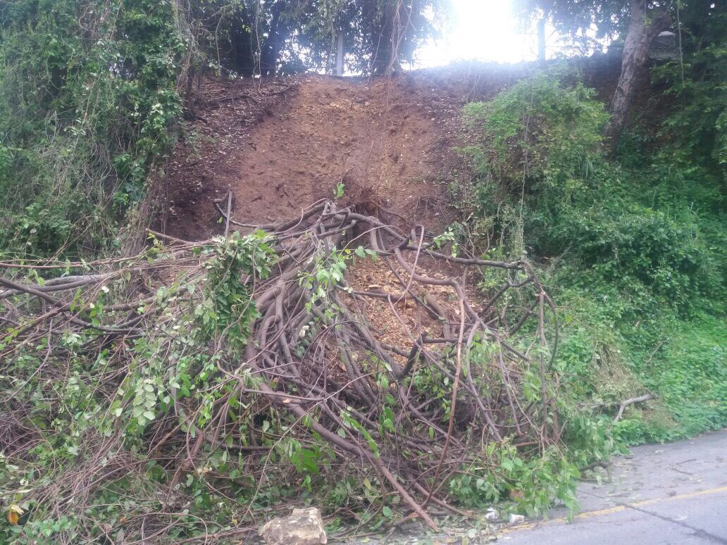 GuisellaTF's tweet photo. @jaimenebotsaadi @alcaldiagye @BomberosGYE derrumbes en el sector de Bellavista alta mz 65 66 y 67 Porfavor ayuda también basura en terrenos https://t.co/nOs2mcYrN6