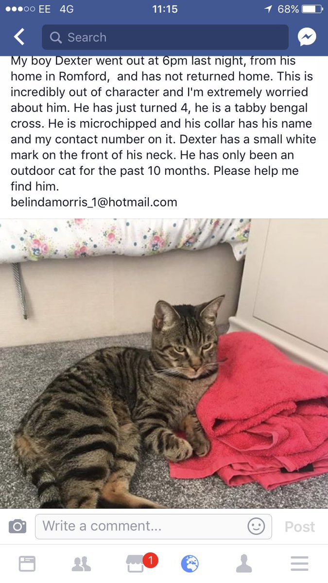 Please help me find him! This is totally out of character for him! I'm heart broken. <a href="/haveringRSPCA/">RSPCA Havering</a> <a href="/Romford_Hour/">Romford Hour</a> #Romford #missingcat