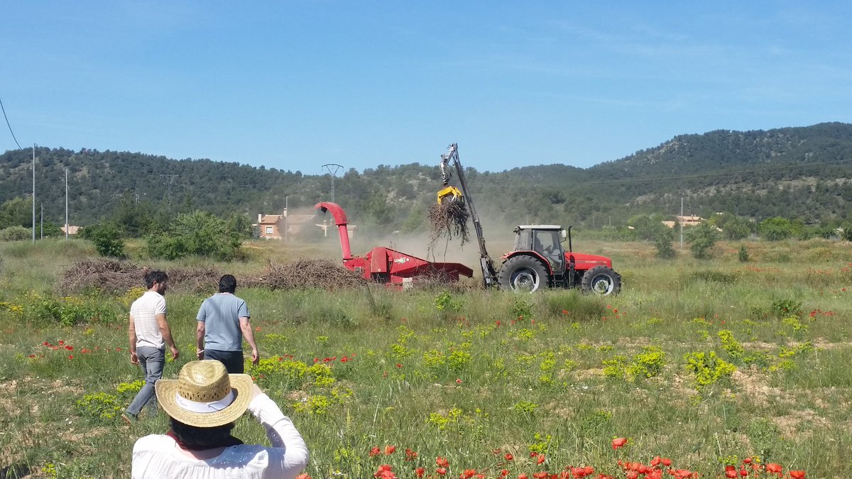 LIFE_SARMIENTO's tweet image. Today #NEEMO (monitoring team #LIFE_PROGRAMME) to learn about the progress #LIFESARMIENTO  @LIFE_Programme