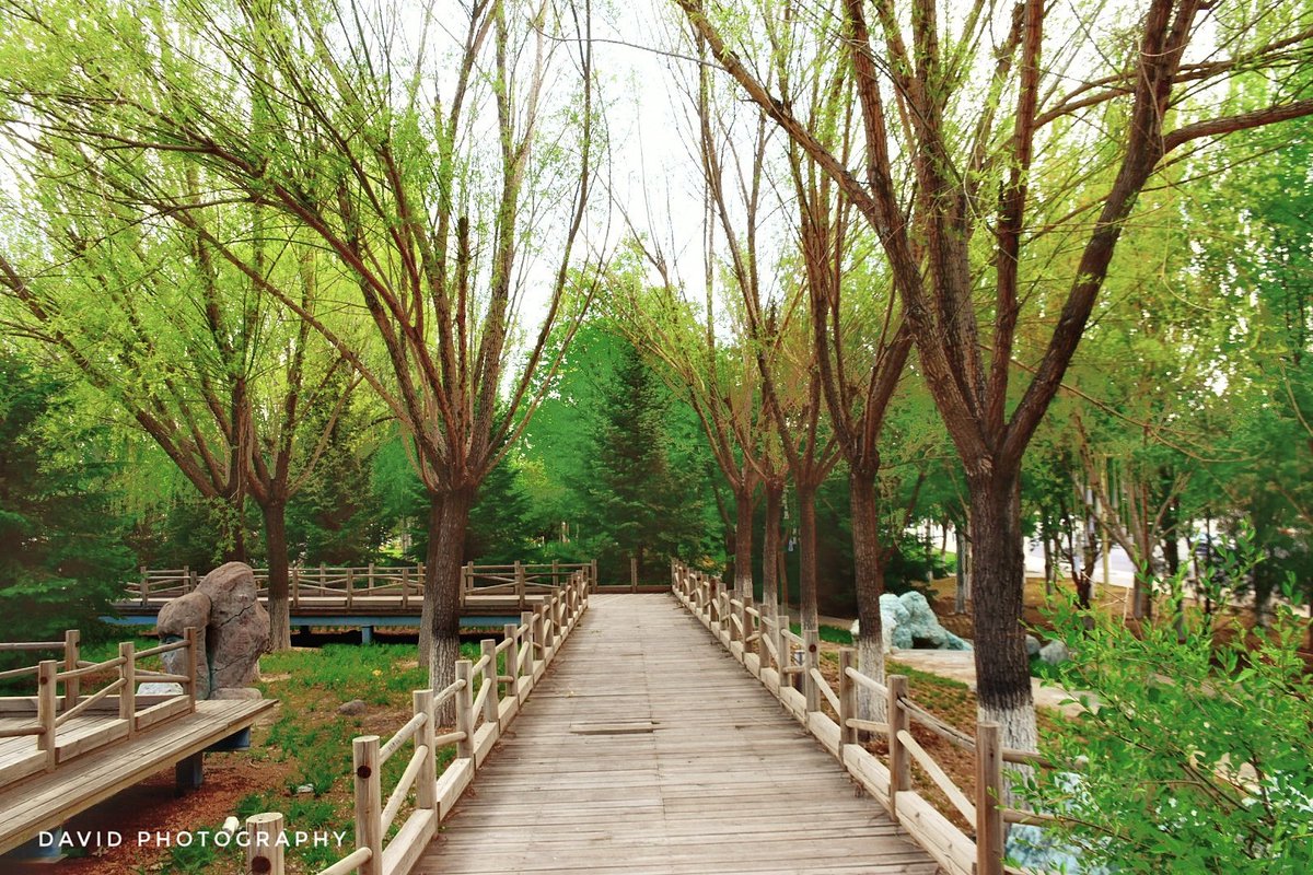 DP_Davidd's tweet image. My New Shots#Photography#flowers#nature#national Geographic