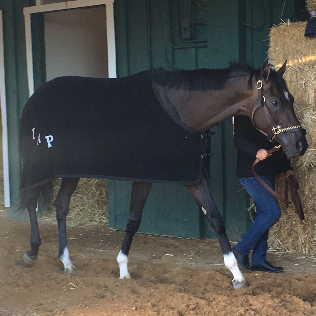 Michael Adolphson tweet media