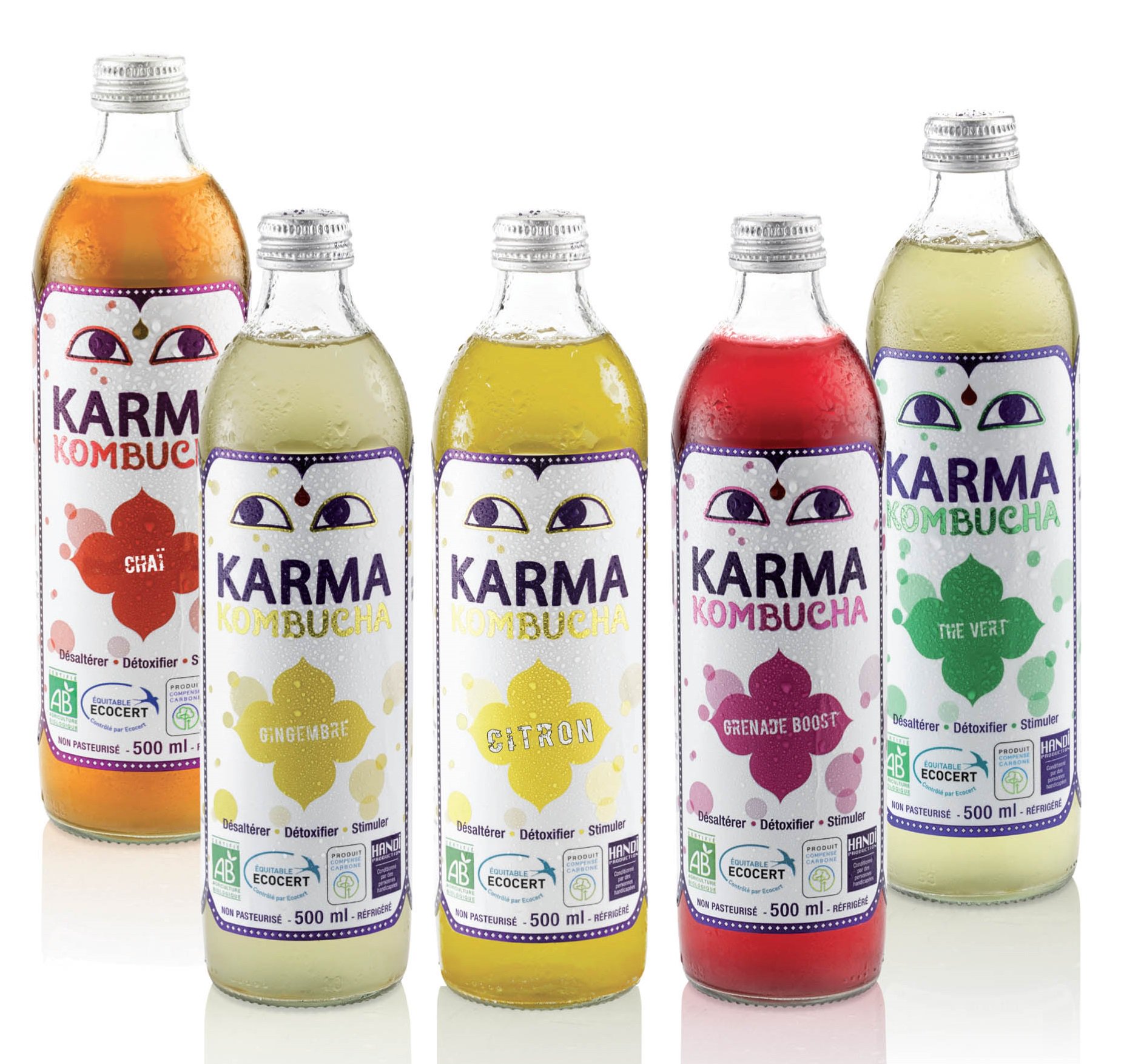Karma Kombucha : Une boisson rafraîchissante biologique - Actualités
