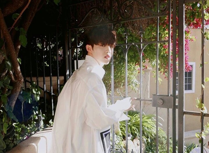 SEVENTEEN_BRA's tweet photo. [TRAD] 15.05.17 Atualização no Instagram do pledis_boss com o S.Coups:  #SVT #2017PROJECT ALLONE #LíderGeral https://t.co/PIasHvdAHc