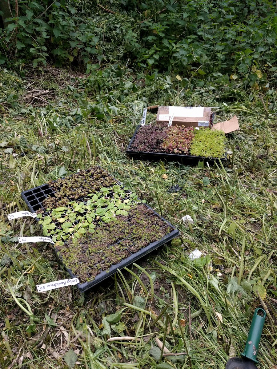 MerseysideNorth Vols tweet media