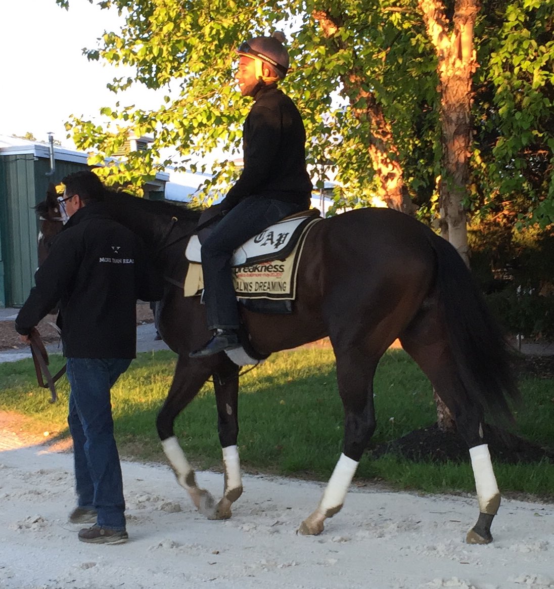 Scott Wykoff tweet media