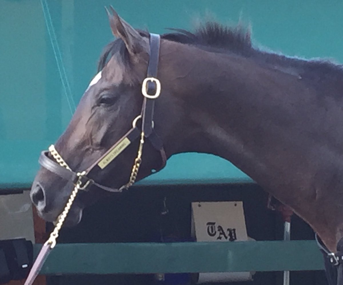 Scott Wykoff tweet media