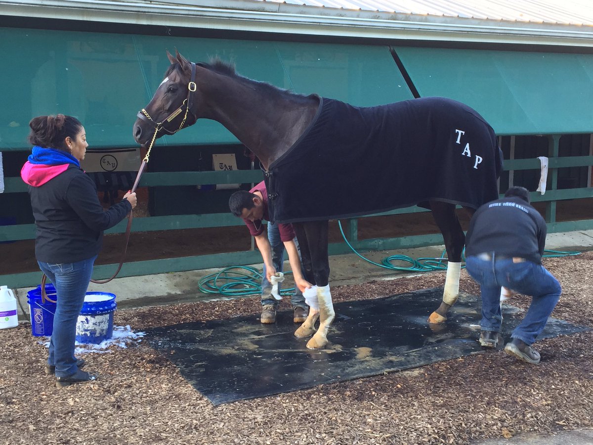 Scott Wykoff tweet media