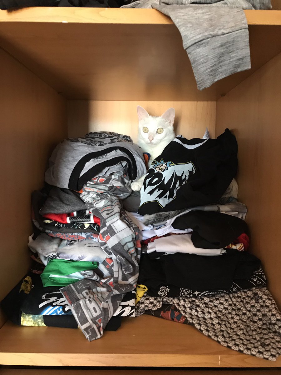 Wismichu's tweet image. Luego os preguntáis por qué mis camisetas están siempre llenas de pelos blancos. Pues bien...