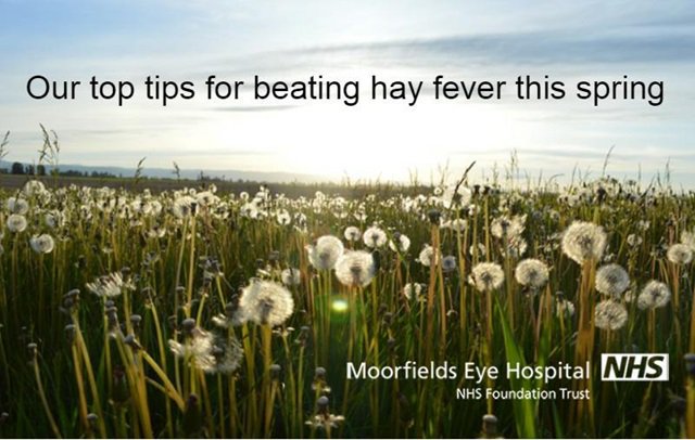 Moorfields's tweet photo. Our #eyes can be particularly sensitive to pollen but there are things you can do to manage #hayfever symptoms. https://t.co/MwiXpiFFfD https://t.co/mLEG5hpJLb