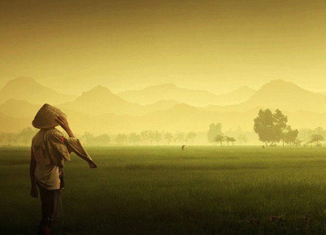 nu_online tweet picture
