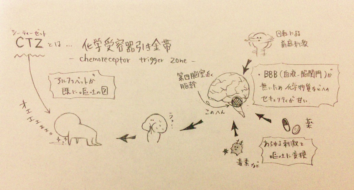 化学受容器引き金帯っていう嘔吐中枢が脳にあるらしい。
嘔吐感全然ないなーって思ってたけど英語表記がCTZやって確かに吐いてるな…ってなった('ω') 