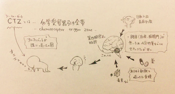 化学受容器引き金帯っていう嘔吐中枢が脳にあるらしい。
嘔吐感全然ないなーって思ってたけど英語表記がCTZやって確かに吐いてるな…ってなった('ω') 