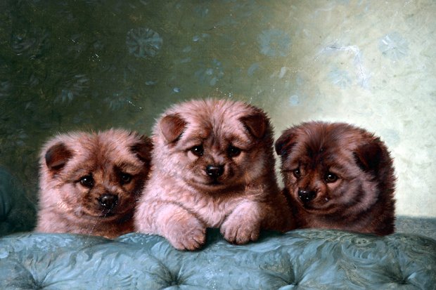 FREE family fun day full of animal themed activities &amp; events this Saturday for the opening of Why Look at Animals? ow.ly/kE3630bJCb1