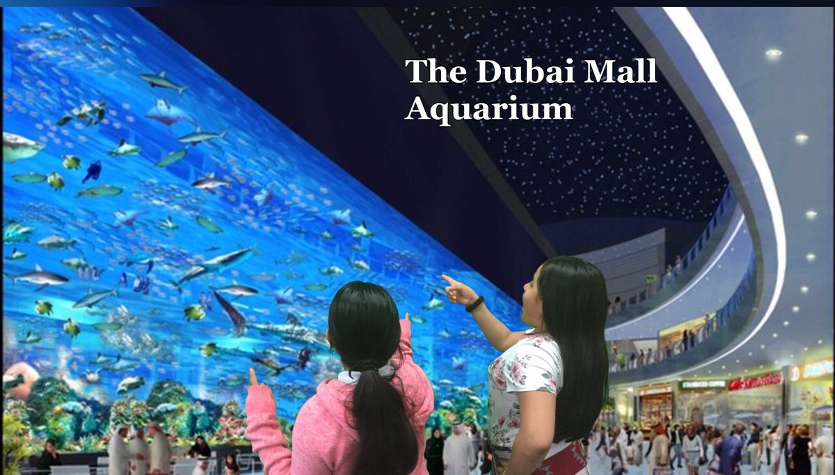 DoInkTweets's tweet photo. RT @slpasbury: Using #greenscreen @DoInkTweets to prepare for Dubai Skype w @steve_bambury @JESSDubai #innovateAPSD https://t.co/CLB9VA8l24