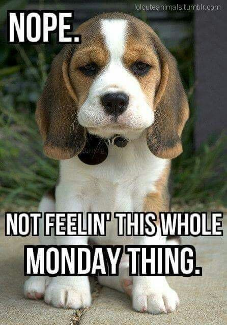 vicverovic's tweet photo. Me... #MondayMorning #SCS2846 https://t.co/IpoXwAGJ9C