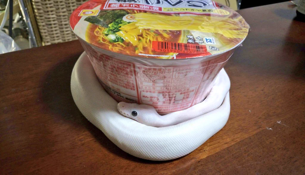 温かいのかなww戻ってきたらヘビが麺づくりに巻き付いていたww