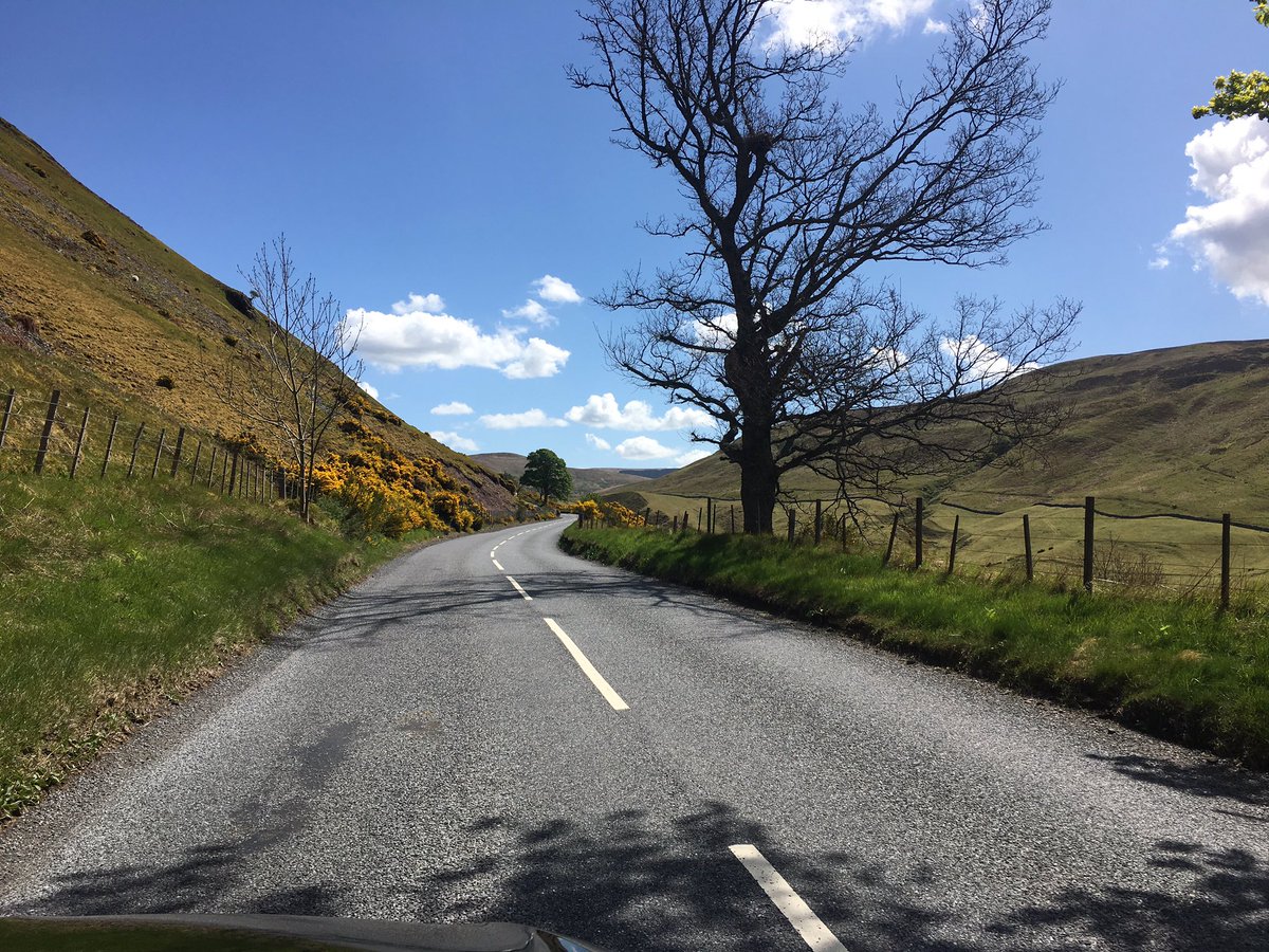 Fraser Johnston tweet media