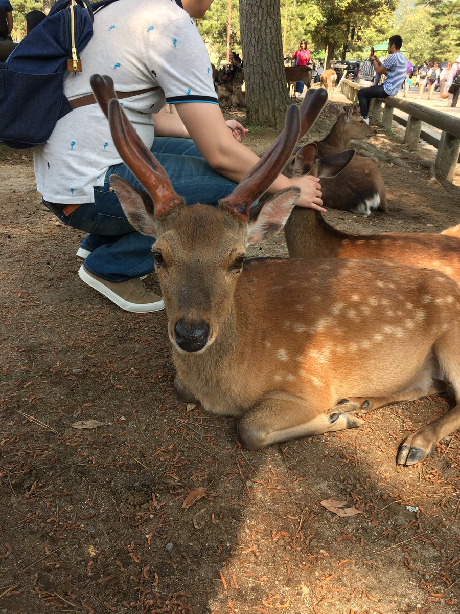 久保ユリカが１人しゃべりなんて胃が痛い