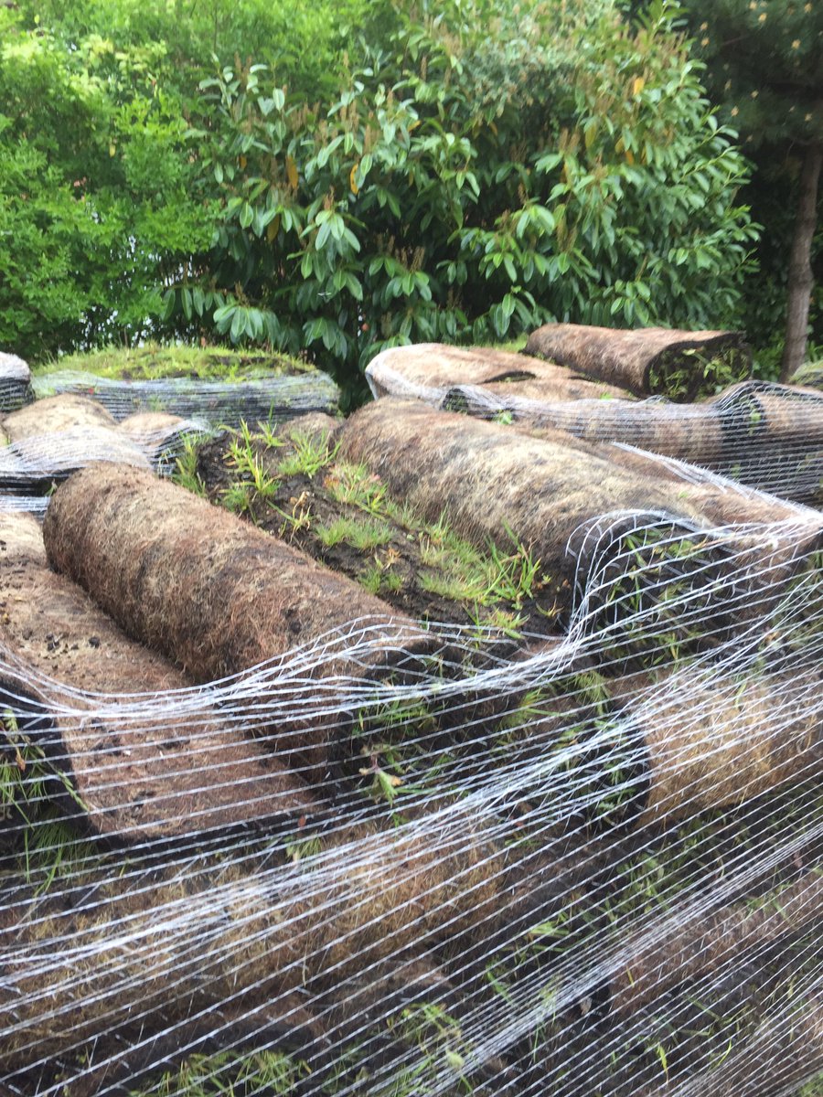 Location Landscapes tweet media