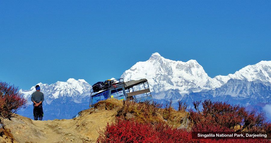 RemoteExplorers's tweet image. Come to incredible #india, experience a culture like no other. buff.ly/2r29Nr9
#digitalnomads #retreat #remote #coworking #travel