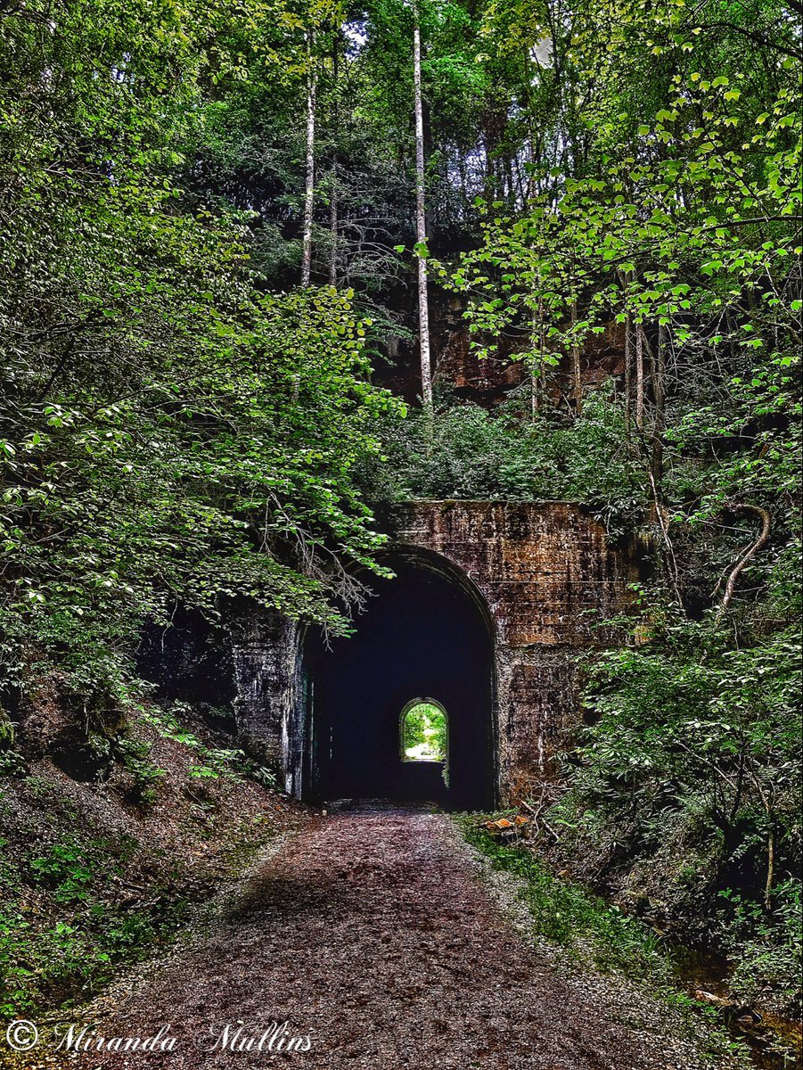 mullins_mm's tweet photo. Had a great hike to Guest River Gorge Trail on Mother's Day. #guestrivergorge #hike #nature #river #waterfall #cliff #oldtrainrail #swva https://t.co/2qBHYSsnn5