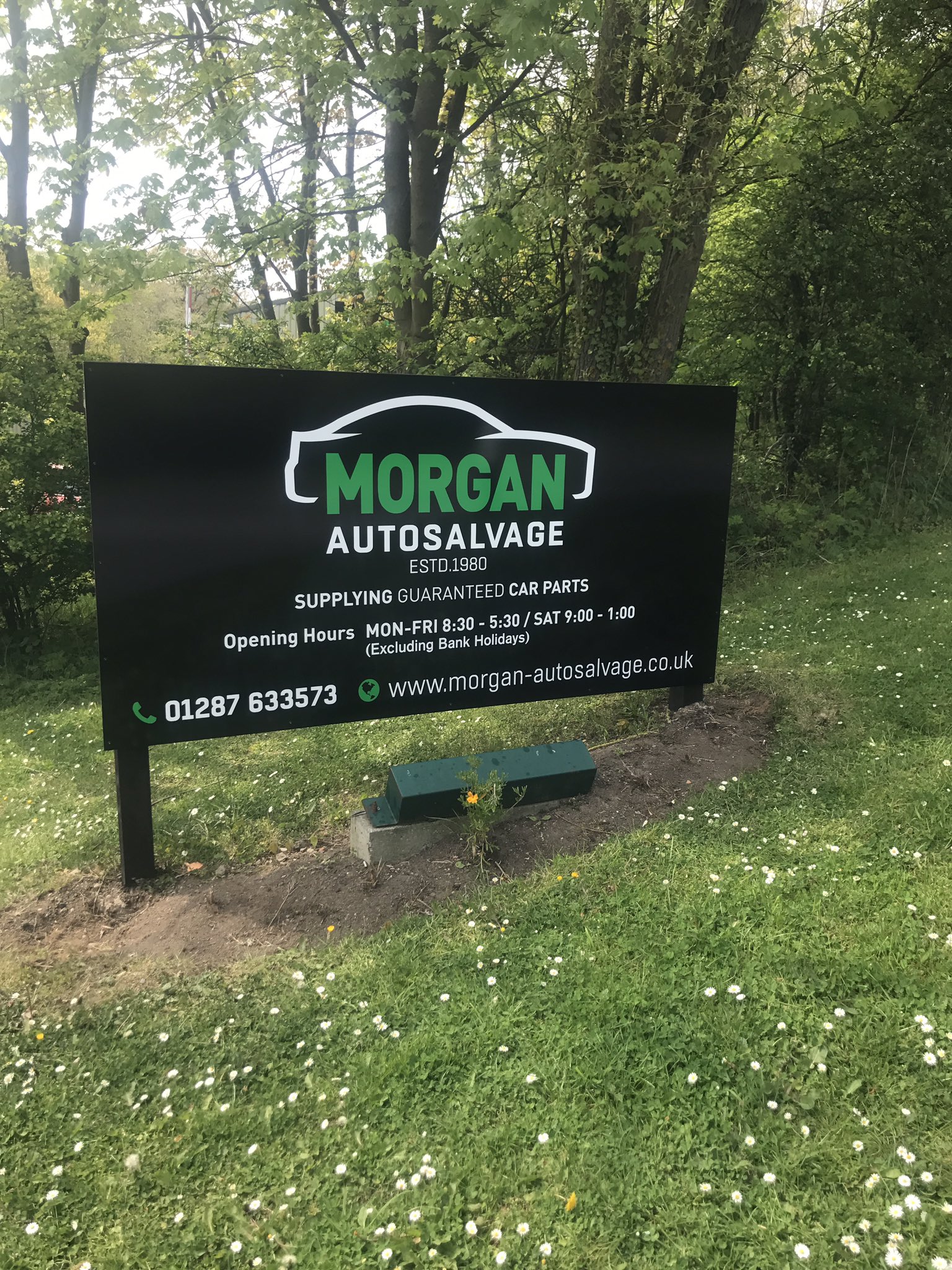Morgan's auto salvage discount