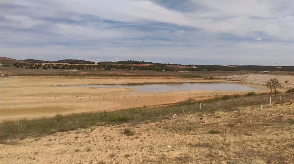 UPA CUENCA tweet media