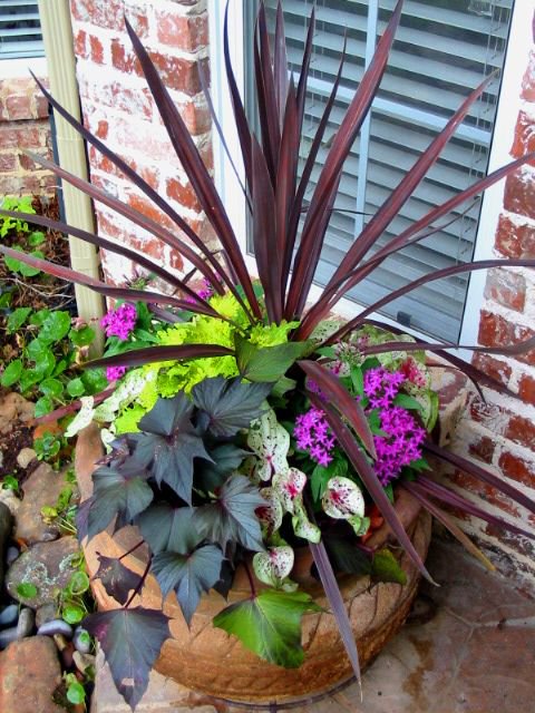 suzysar's tweet photo. https://t.co/ZcLXqpFsAZ