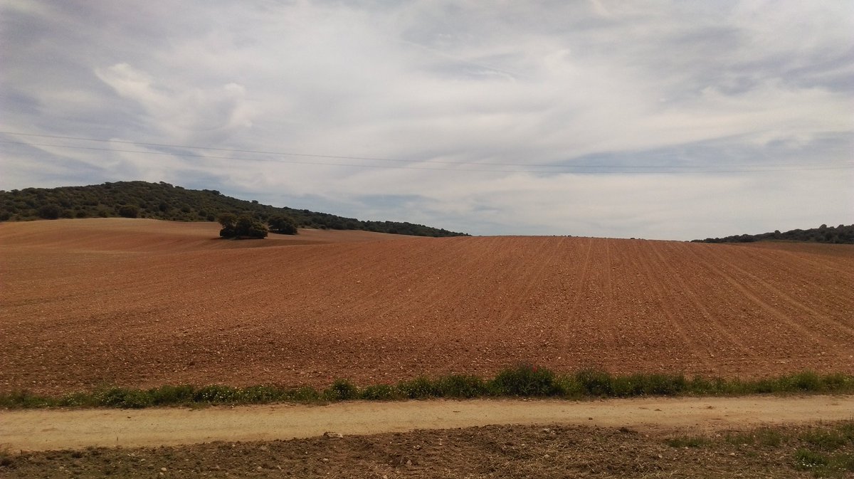 UPA CUENCA tweet media