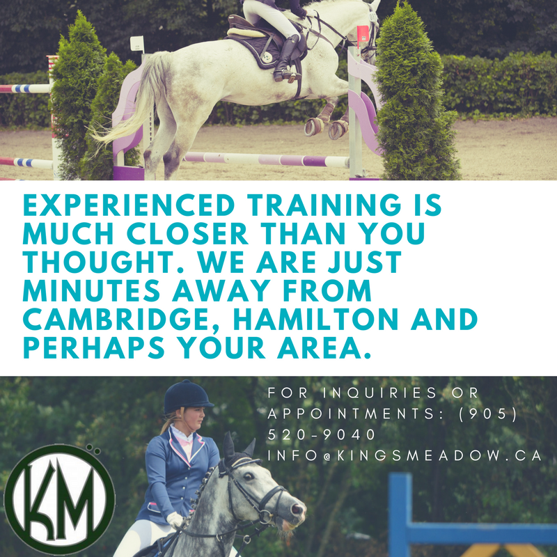 We are only a visit away. #training #breeding #EquestrianCentre #Hunter #jumper #KingsMeadowEC  #Andalusian #PuslinchOn #Hamilton